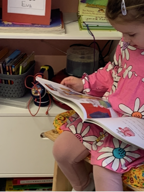 Little Bookworm's Library 3